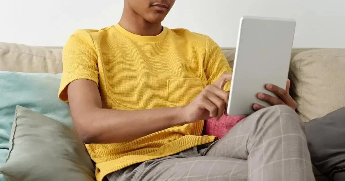 Atualizações de Software e Segurança