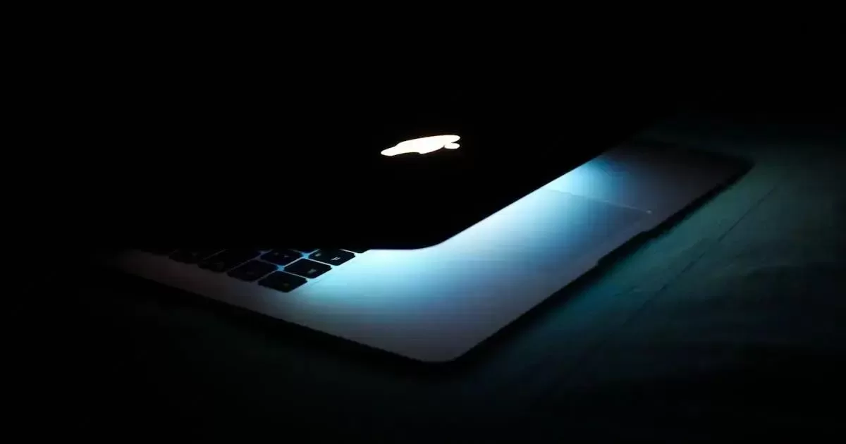 Tipos de Firewall: Hardware e Software